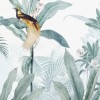 Honpo | Bird's Paradise